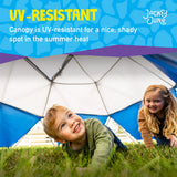 Jungle Gym & Canopy Set