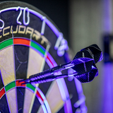 Accudart Spin Shafts