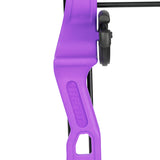 Bear Brave with Biscuit - Purple_3